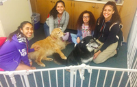 Four students sit with two dogs. All students smile at the camera.